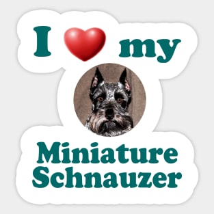 I Love My Miniature Schnauzer Sticker